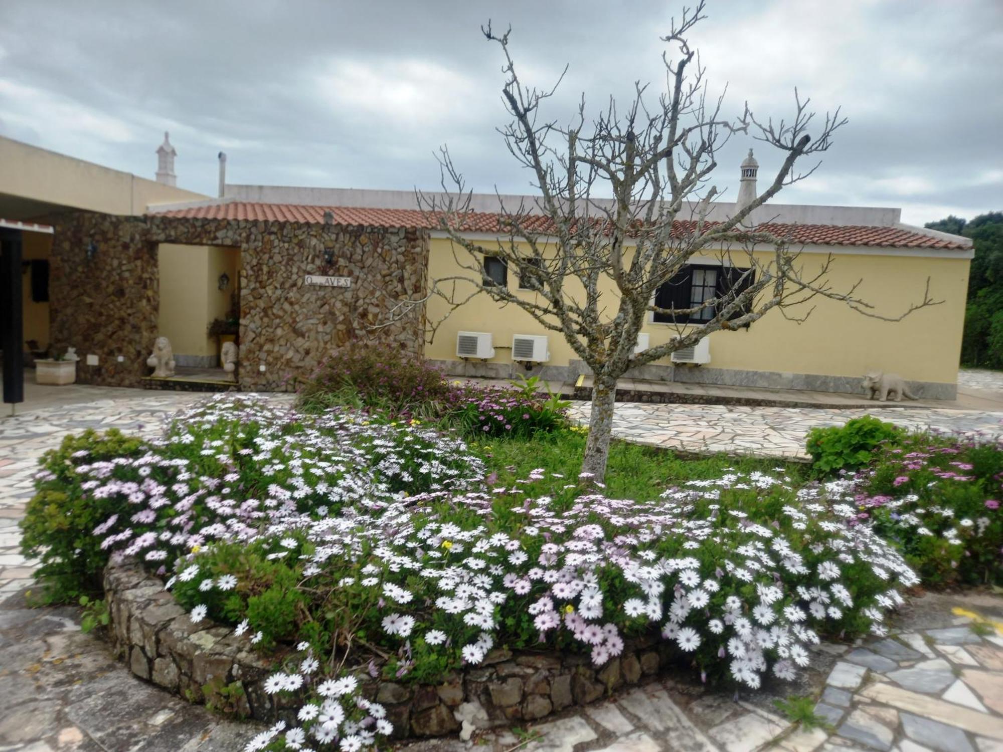Quinta Das Aves Hostal Lagos Exterior foto